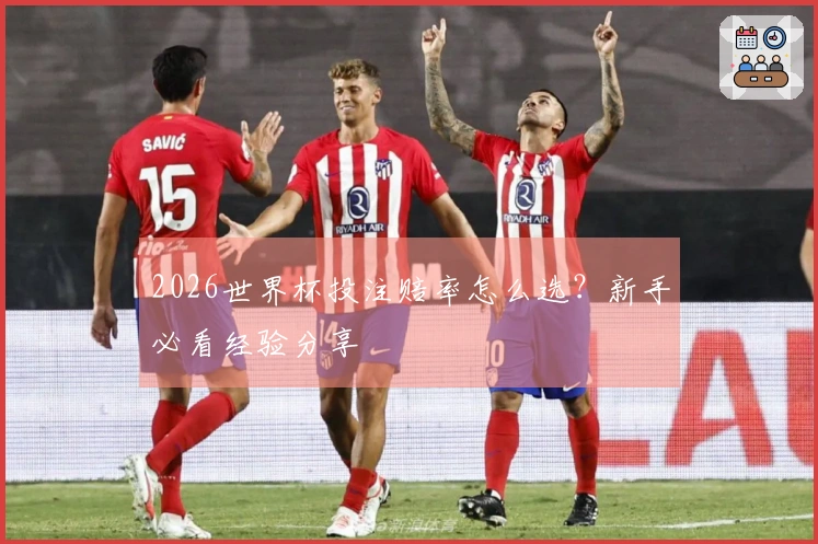 2026世界杯投注赔率怎么选？新手必看经验分享