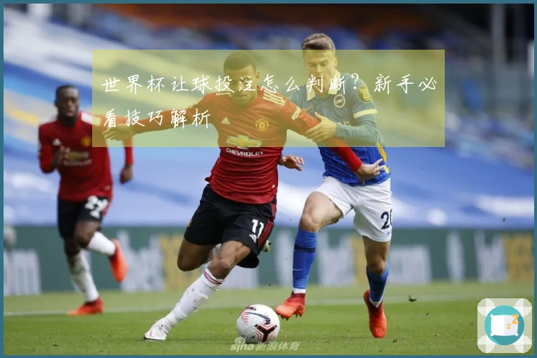 世界杯让球投注怎么判断？新手必看技巧解析